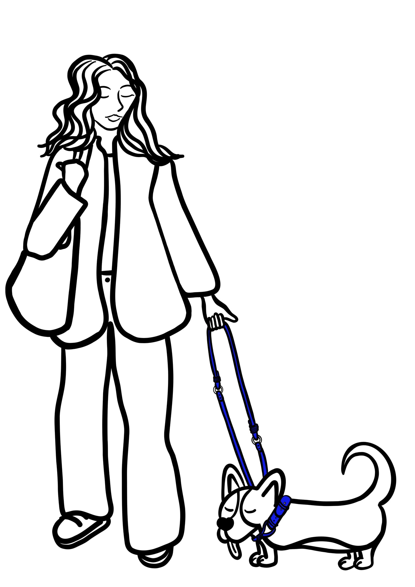 Pli paris accessoires pour chien laisse en corde et biothane