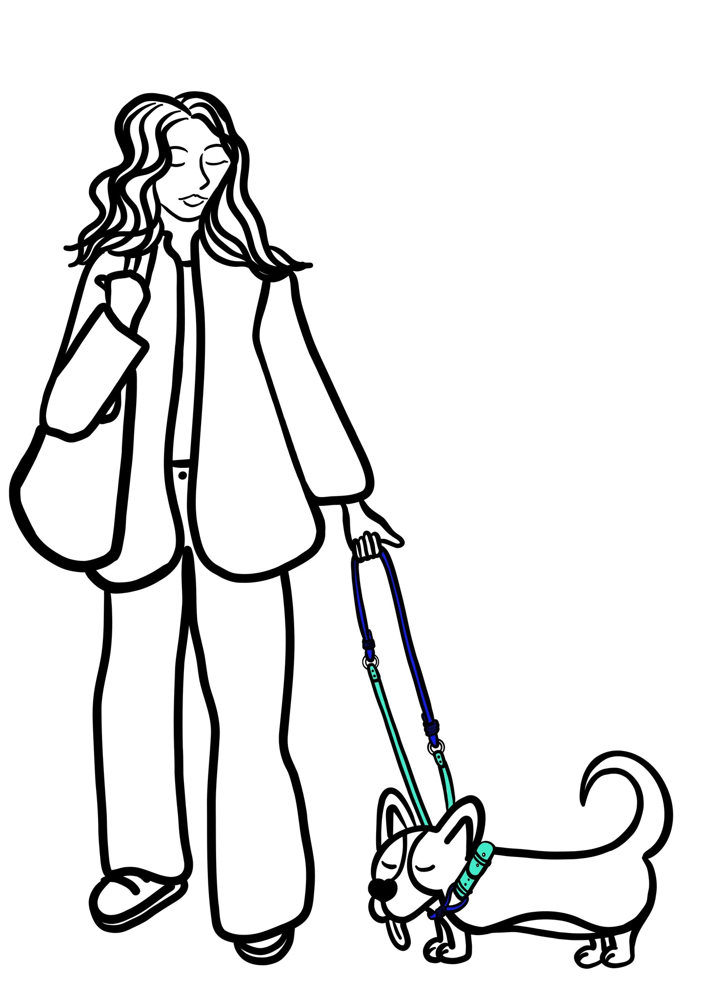 Pli paris accessoires pour chien laisse en corde et biothane