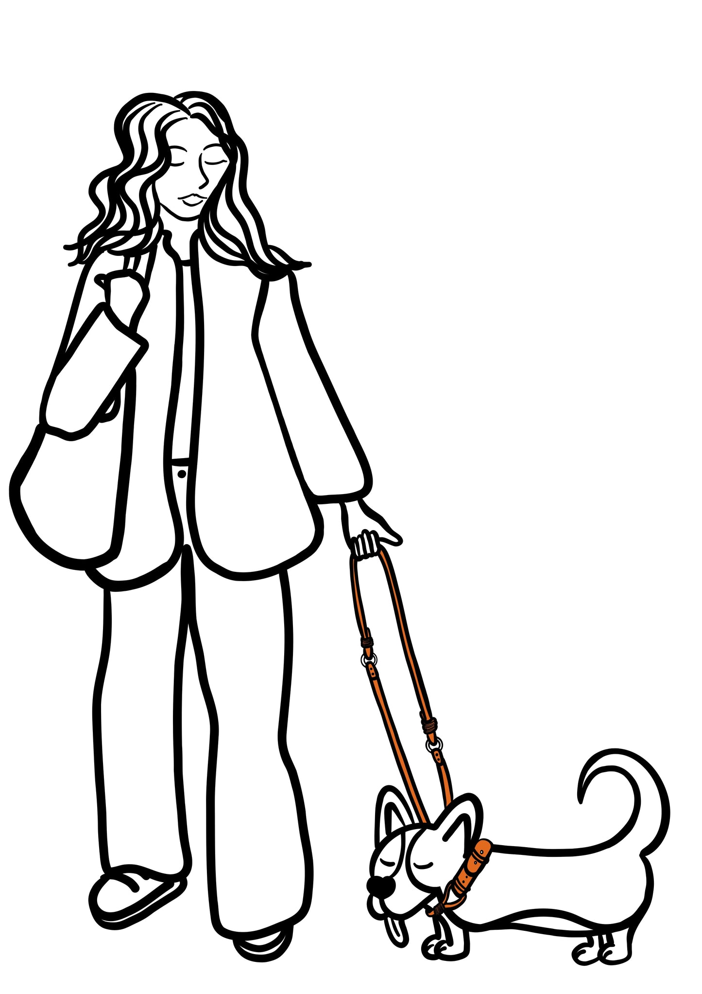 Pli paris accessoires pour chien laisse en corde et biothane