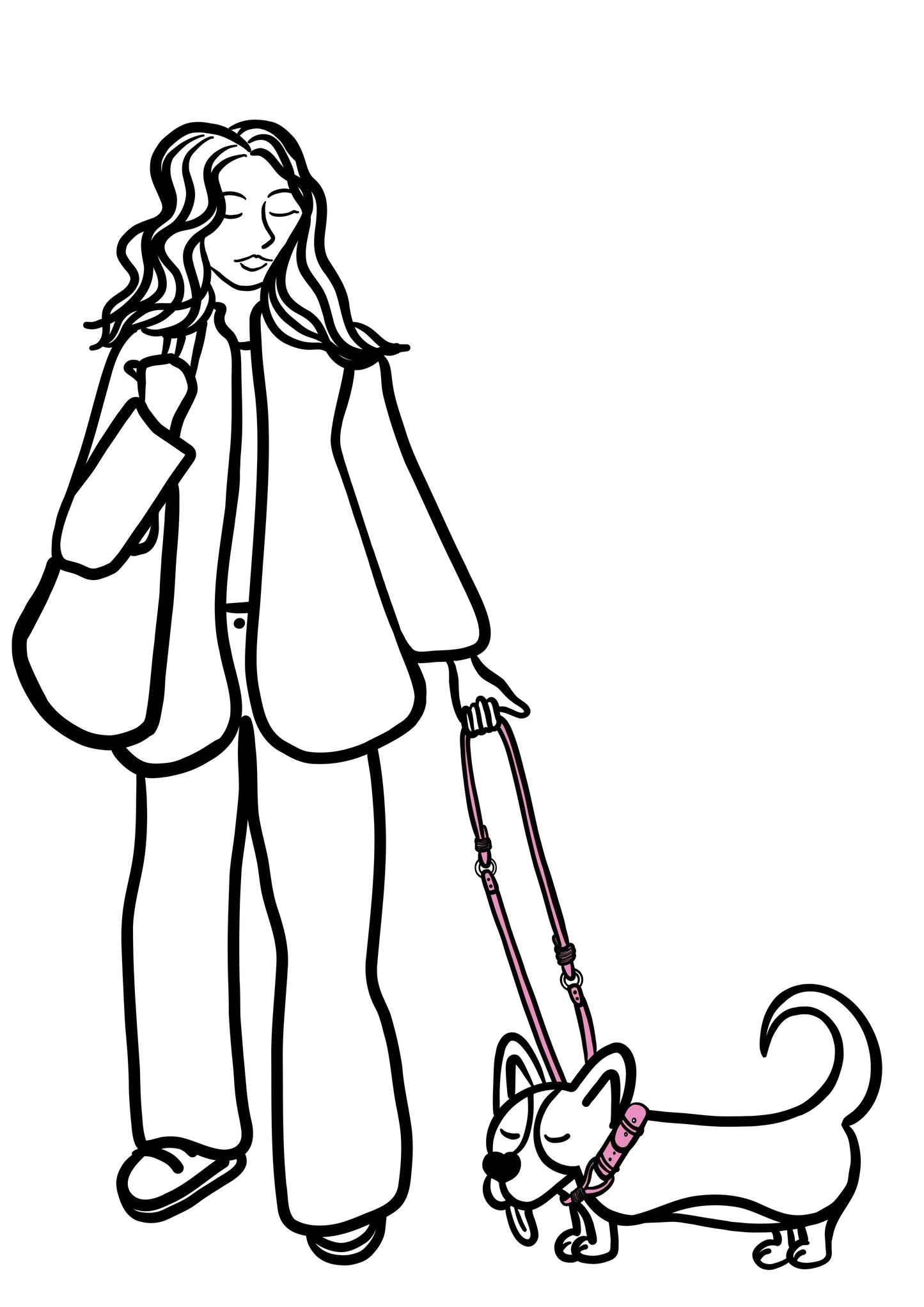 Pli paris accessoires pour chien laisse en corde et biothane