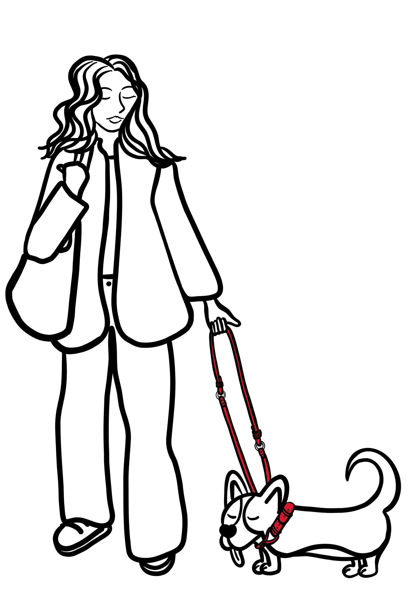 Pli paris accessoires pour chien laisse en corde et biothane