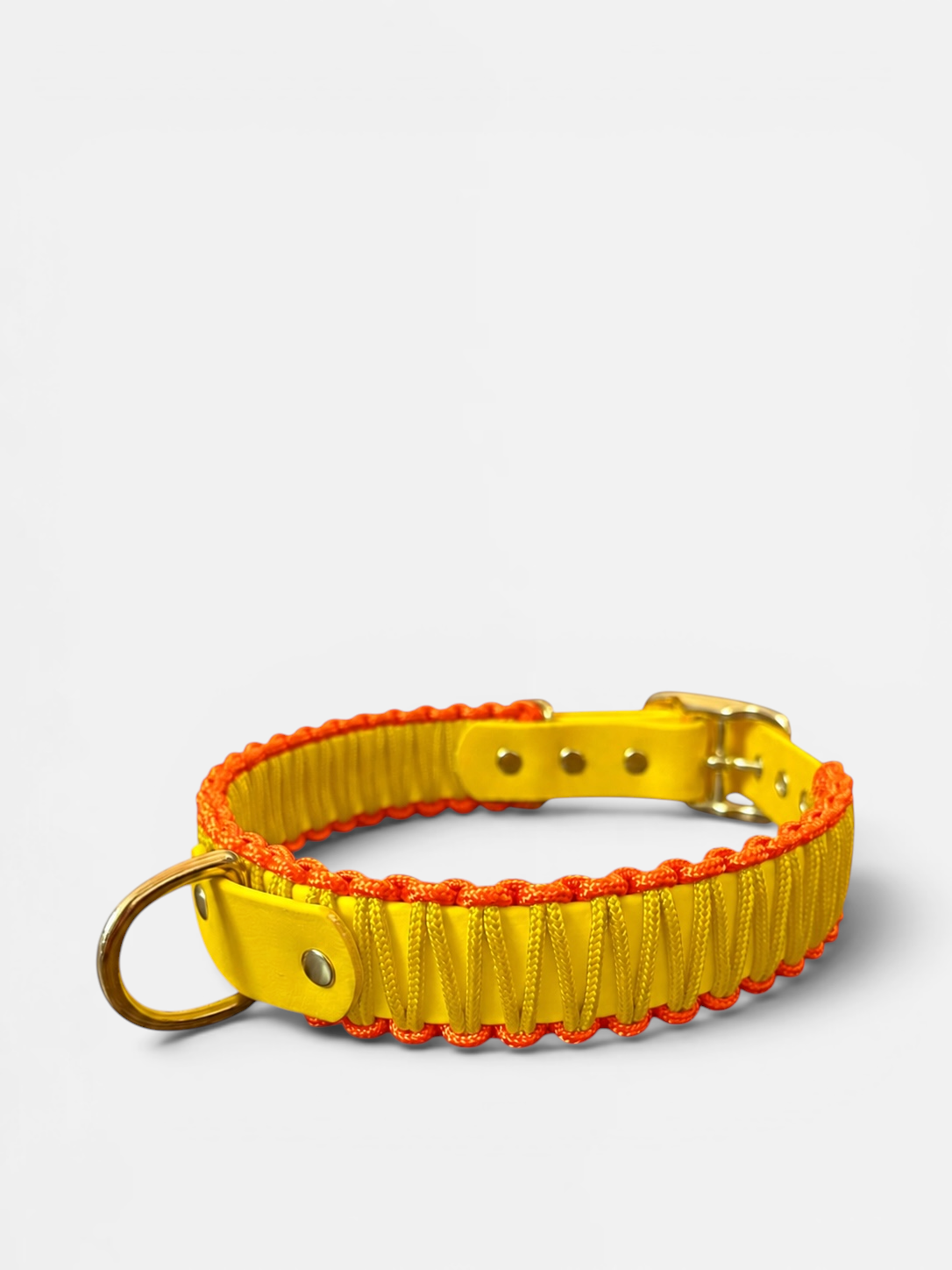 Collier réglable en Biothane et corde PLI Paris
