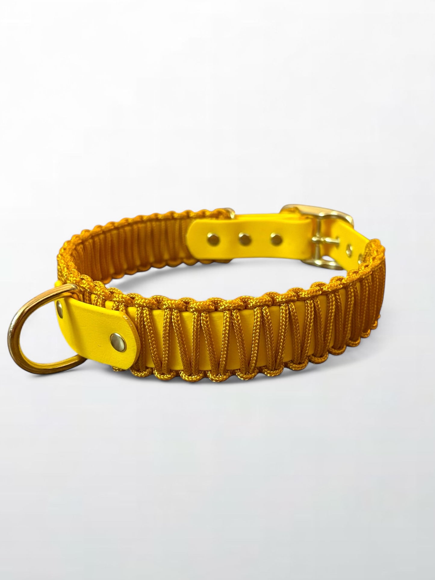 Collier réglable en Biothane et corde jaune