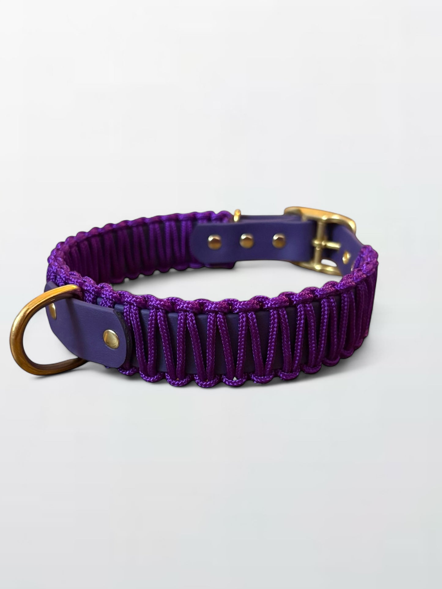 collier réglable en Biothane et corde violet