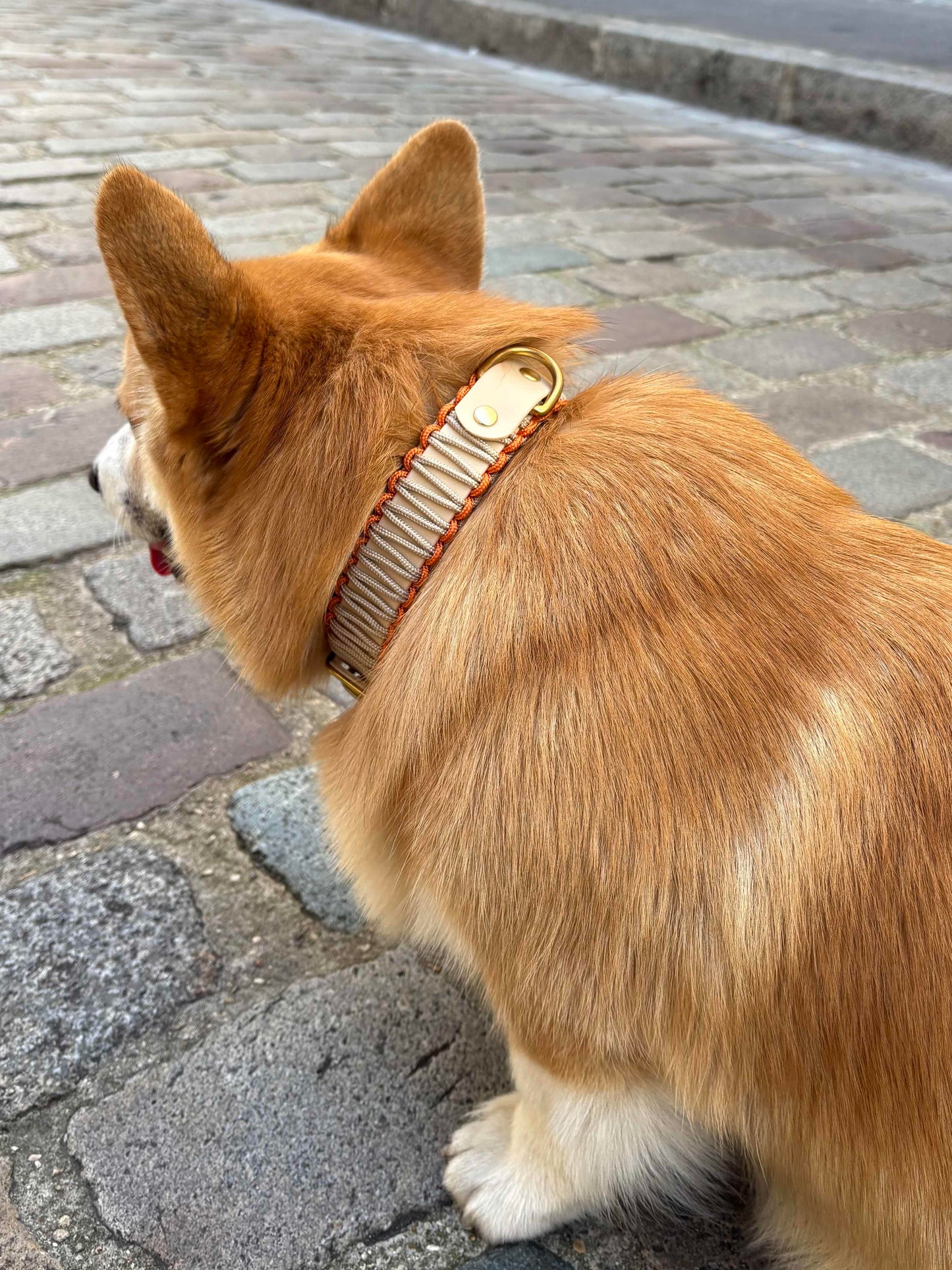 Collier réglable en Biothane et corde