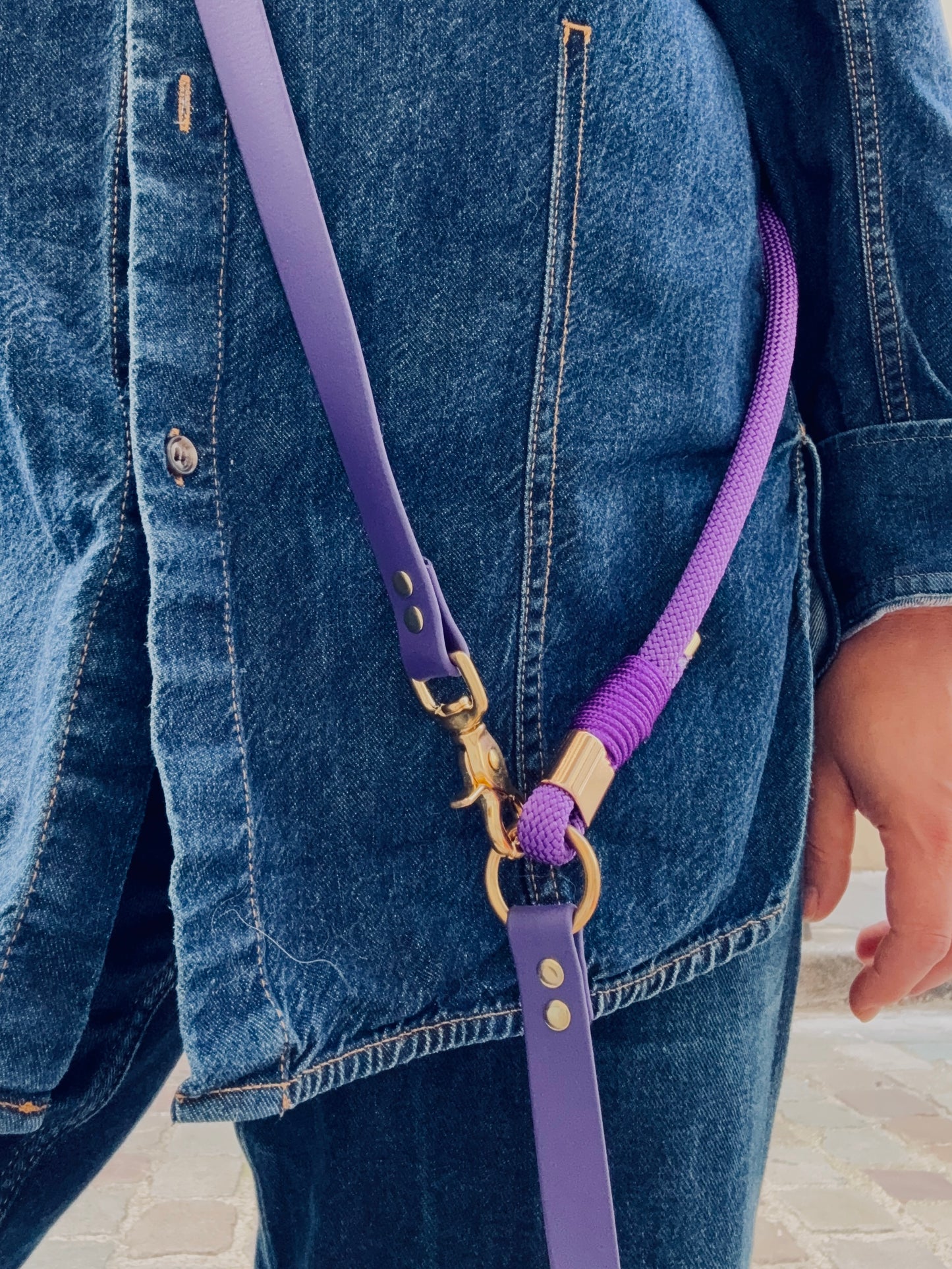 laisse multi-positions en Biothane et corde violette