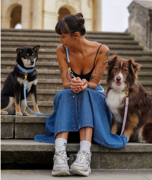 collier et laisses pour chien accessoires en biothane PLI Paris