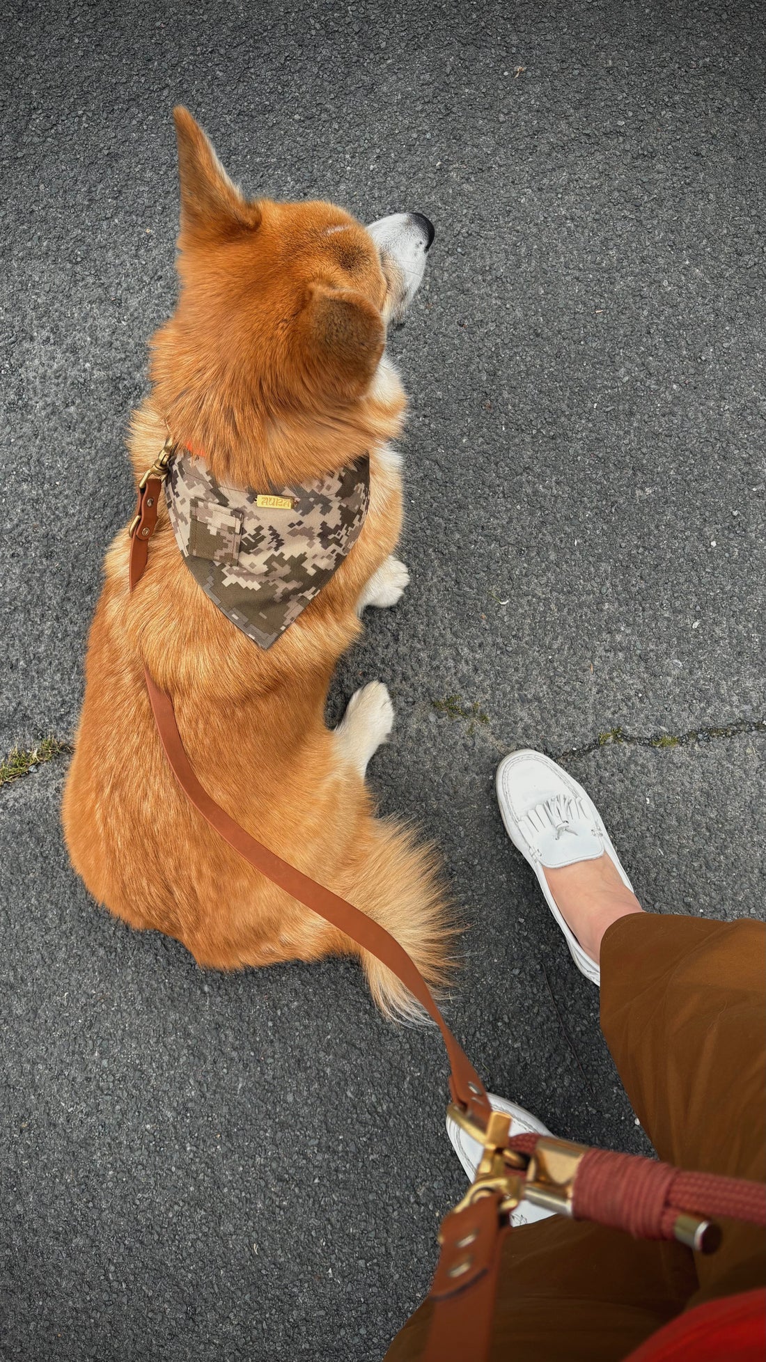 Comment assortir les accessoires de son chien à son propre style ? (La tendance "Dog Look")