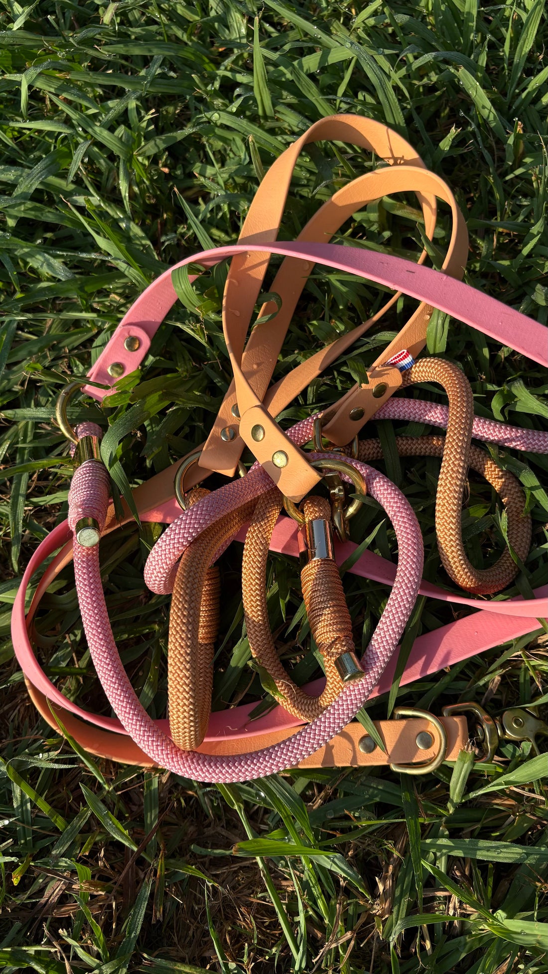 Comment choisir la largeur idéale de la sangle pour la laisse et le collier de son chien ?