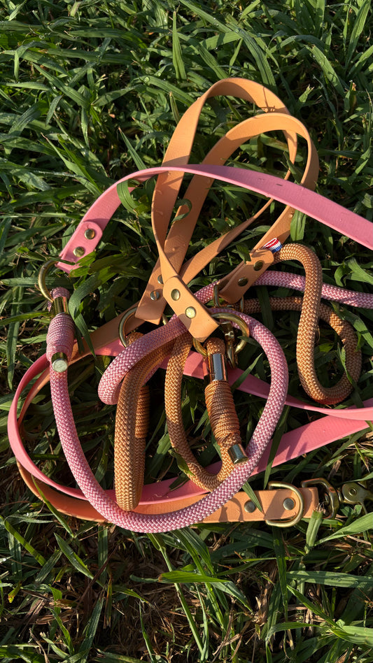 Comment choisir la largeur idéale de la sangle pour la laisse et le collier de son chien ?