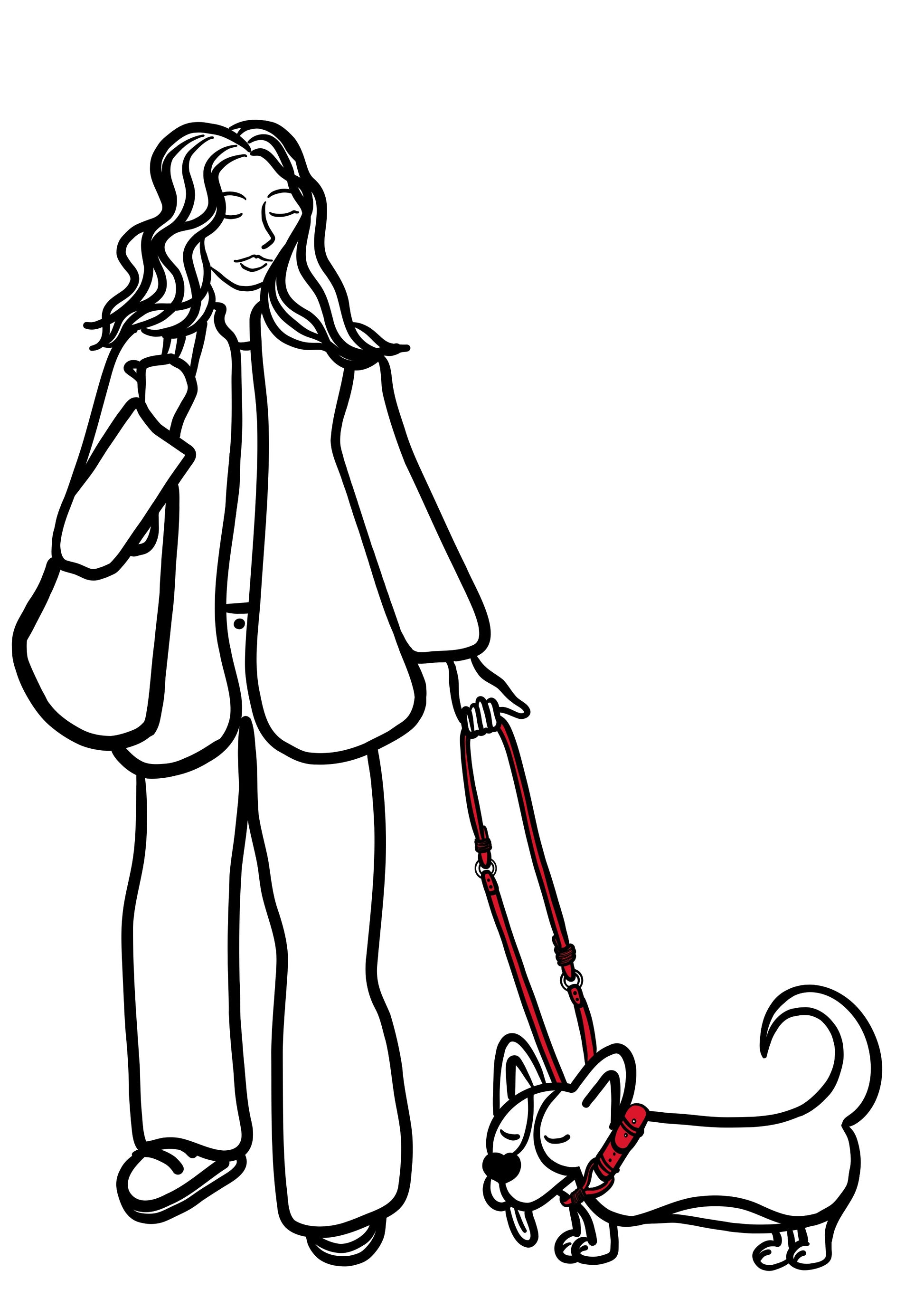 Pli paris accessoires pour chien laisse en corde et biothane