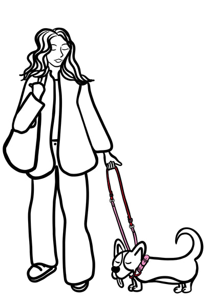 Pli paris accessoires pour chien laisse en corde et biothane