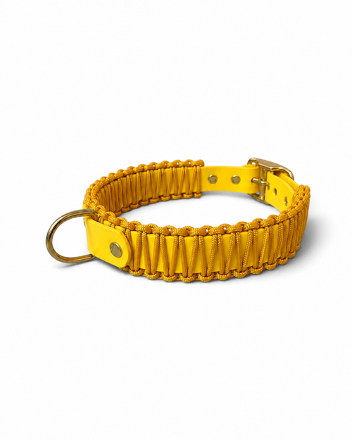 Collier réglable pour chien haut de gamme en Biothane et paracorde tressée jaune Goldy Mama fait main par PLI Paris.