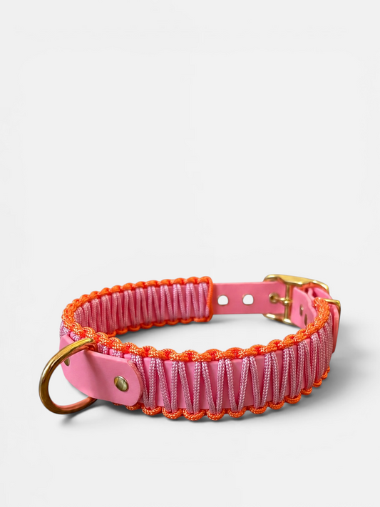 Collier réglable en Biothane et corde PLI Paris