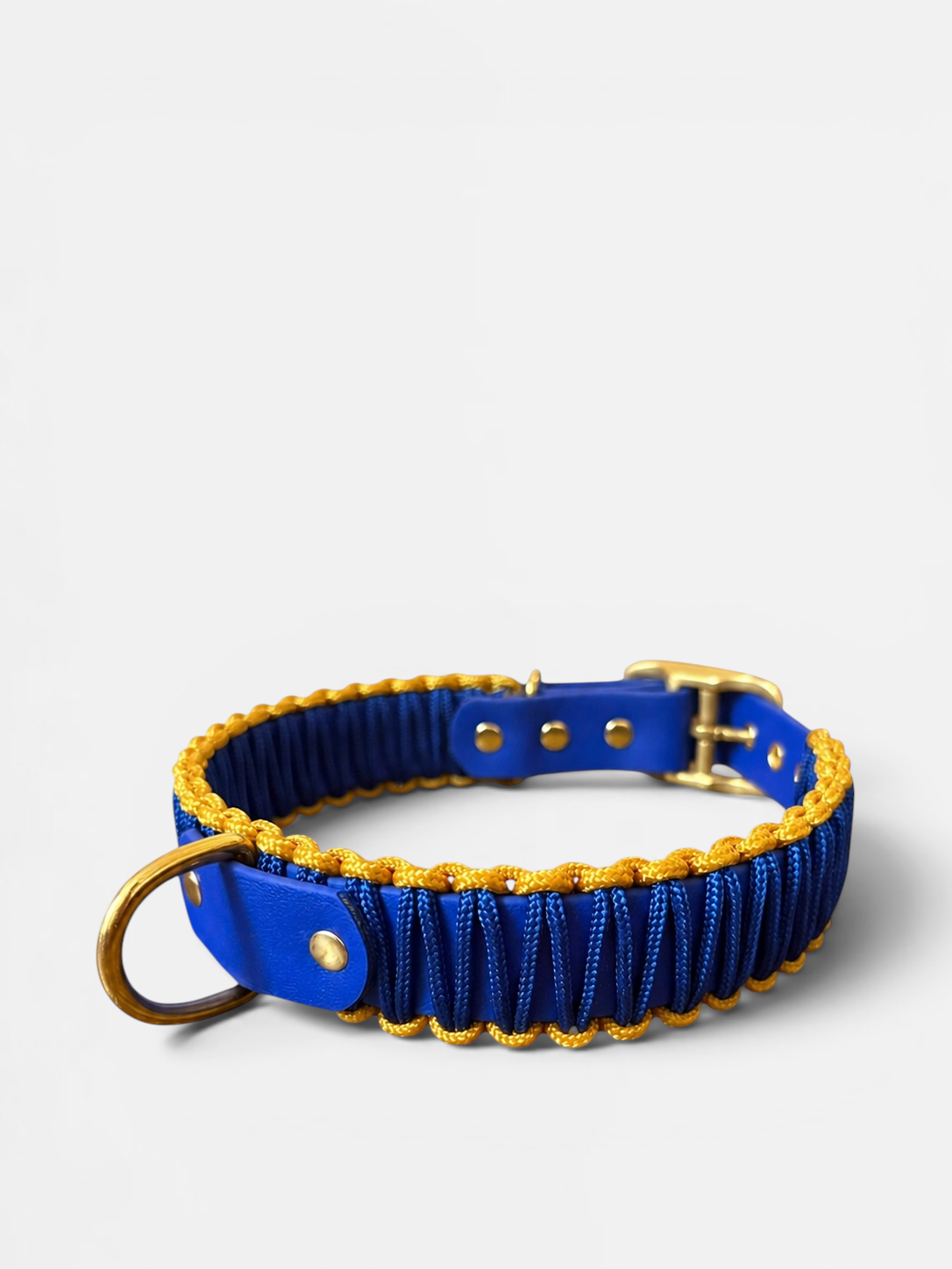 Collier réglable en Biothane et corde PLI Paris
