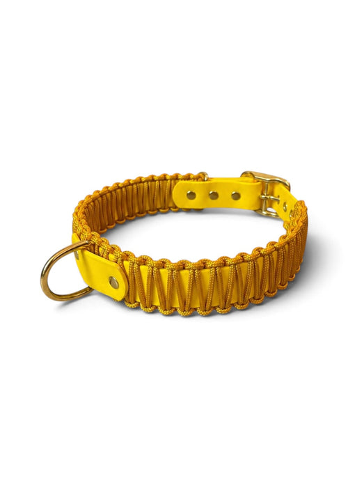Collier réglable pour chien haut de gamme en Biothane et paracorde tressée jaune Goldy Mama fait main par PLI Paris.
