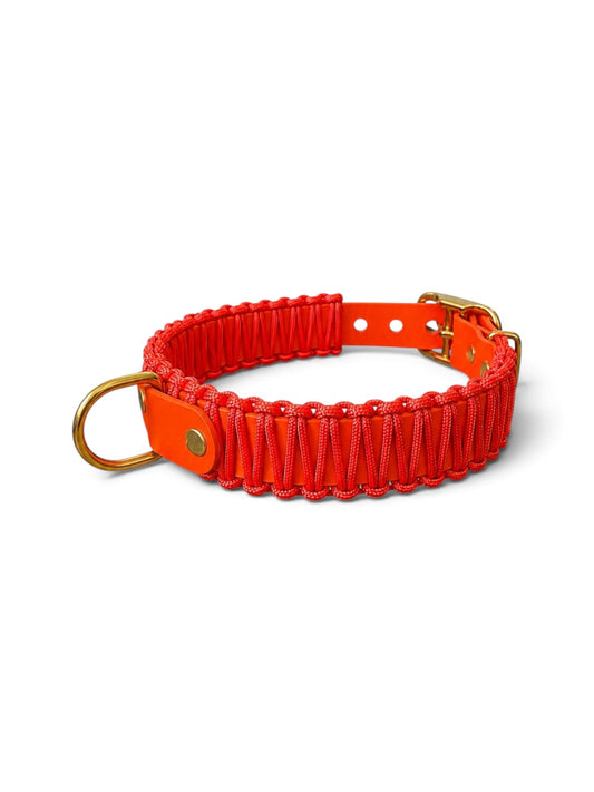 Collier réglable Orange Mécanique