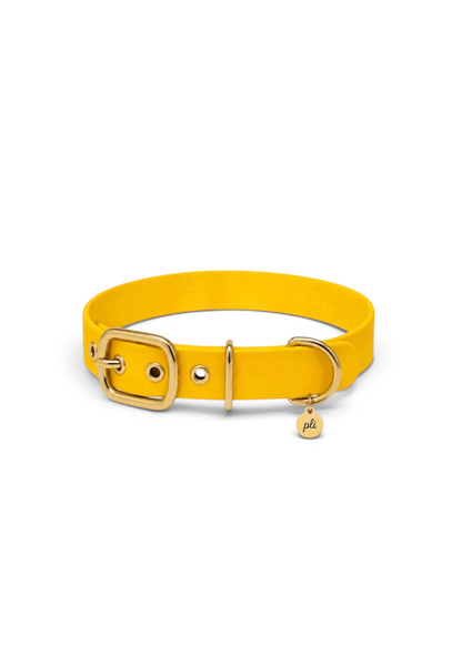 Collier réglable pour chien haut de gamme en Biothane jaune Goldy Mama  fait main par PLI Paris.