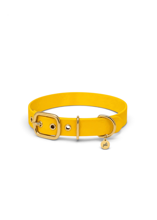 Collier réglable pour chien haut de gamme en Biothane jaune Goldy Mama  fait main par PLI Paris.