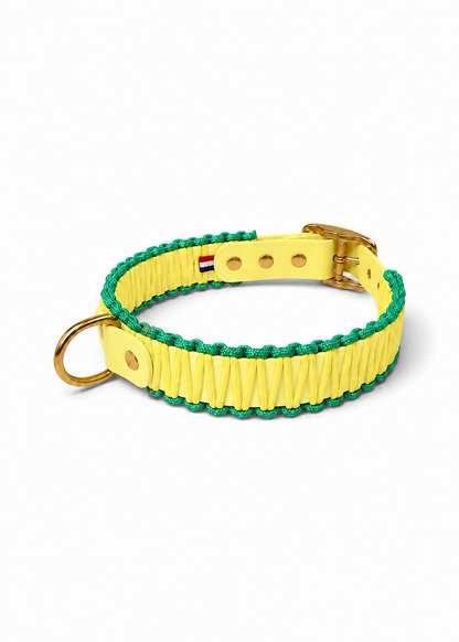 Collier réglable pour chien haut de gamme en Biothane et paracorde tressée jaune pastel et vert Rio fait main par PLI Paris.