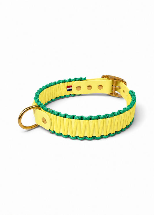 Collier réglable pour chien haut de gamme en Biothane et paracorde tressée jaune pastel et vert Rio fait main par PLI Paris.