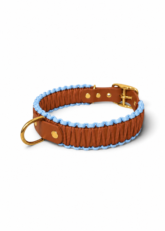 Collier réglable pour chien haut de gamme en Biothane et paracorde tressée marron et bleu Iced cookiefait main par PLI Paris.