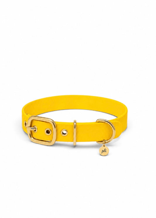 Collier réglable pour chien haut de gamme en Biothane jaune Goldy Mama  fait main par PLI 