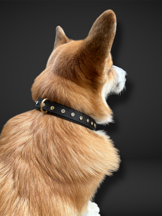 Collier spécial Noël noir en Biothane et strass PLI Paris