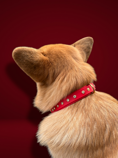 Collier spécial Noël rouge en Biothane et strass PLI Paris 