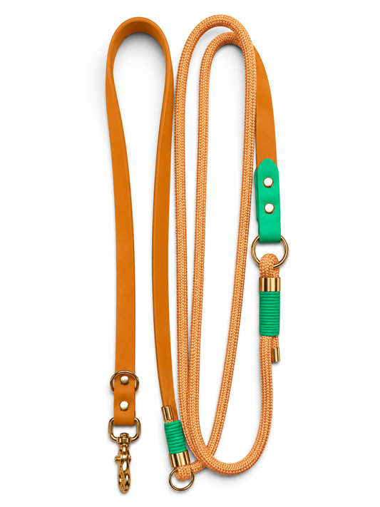 Laisse multi-positions pour chien en Biothane et paracorde marron et vert Tulum par la marque française PLI Paris.