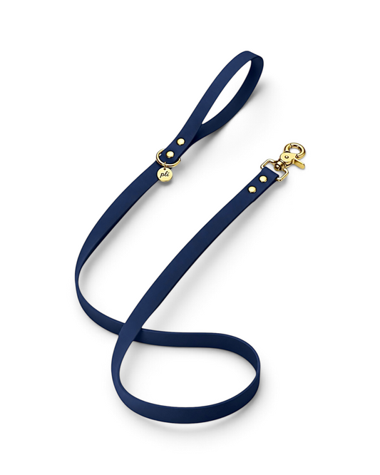 Laisse en biothane Billy Jean de 1m60 fait main par PLI Paris