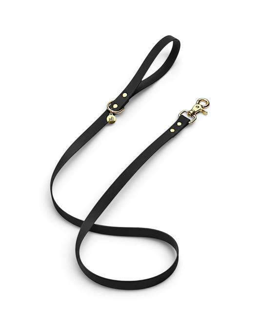 Laisse en biothane Black Mamba de 1m60 fait main par PLI Paris