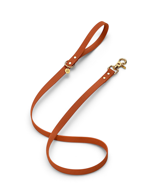 Laisse en biothane Brown Sugar de 1m60 fait main par PLI Paris