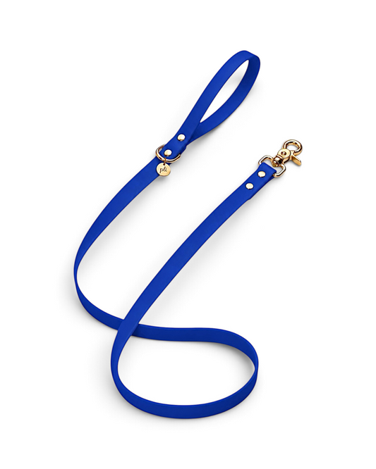 Laisse en biothane Deep Sea de 1m60 fait main par PLI Paris