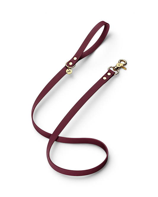 Laisse en biothane Napa Valley de 1m60 fait main par PLI Paris