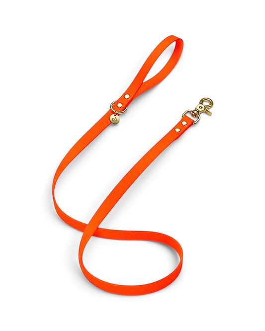 Laisse en biothane Orange Mécanique de 1m60 fait main par PLI Paris