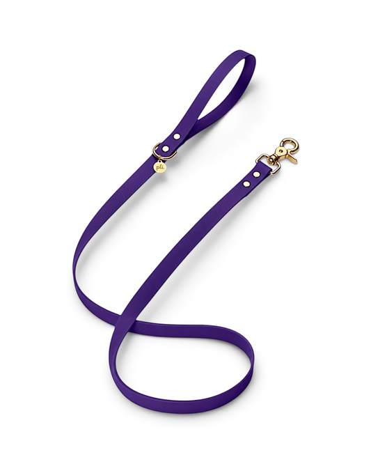 Laisse en biothane Purple Rain de 1m60 fait main par PLI Paris