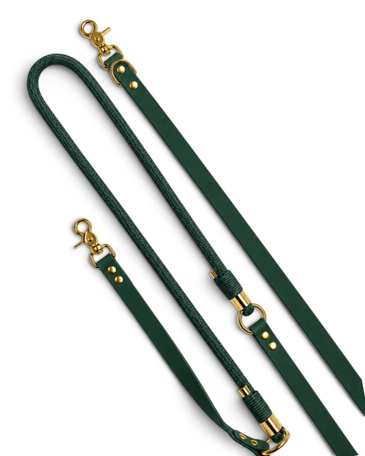 Laisse multi-positions pour chien en Biothane et paracorde vert sapin Green Forest par la marque française PLI Paris.