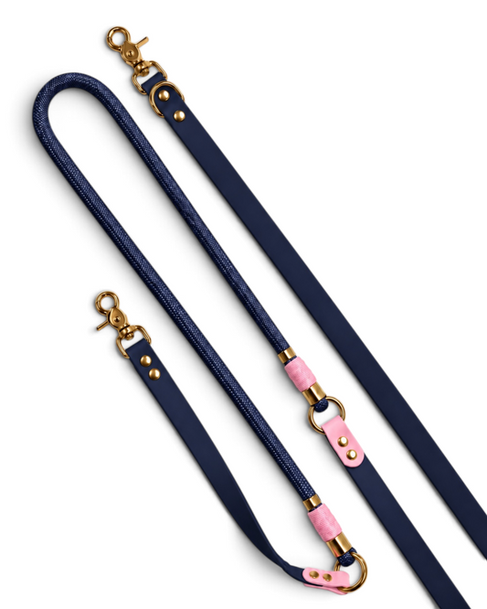 Laisse multi-positions pour chien en Biothane et paracorde bleue nuit et rose Pink Floyd par la marque française PLI Paris.