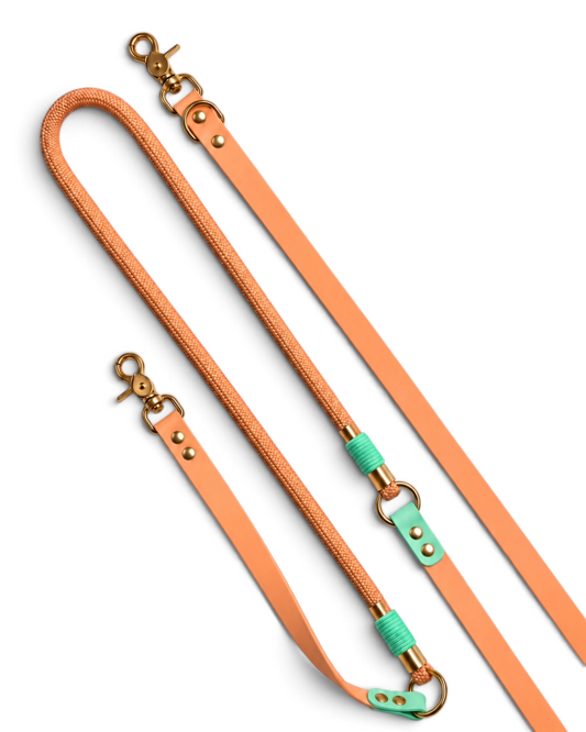 Laisse multi-positions pour chien en Biothane et paracorde marron et vert Tulum par la marque française PLI Paris.