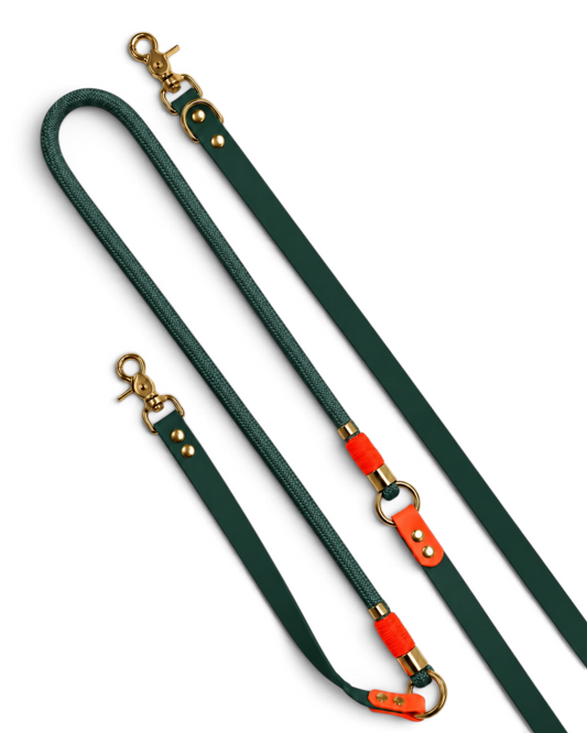 Laisse multi-positions pour chien en Biothane et paracorde vert sapin et orange Wild Thing par la marque française PLI Paris.