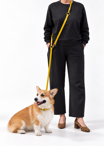 Laisse multi-positions pour chien en Biothane et paracord portée en bandoulière main libre par la marque française PLI Paris.