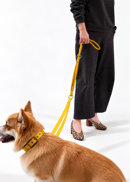 Laisse multi-positions pour chien en Biothane et paracord portée courte par la marque française PLI Paris.