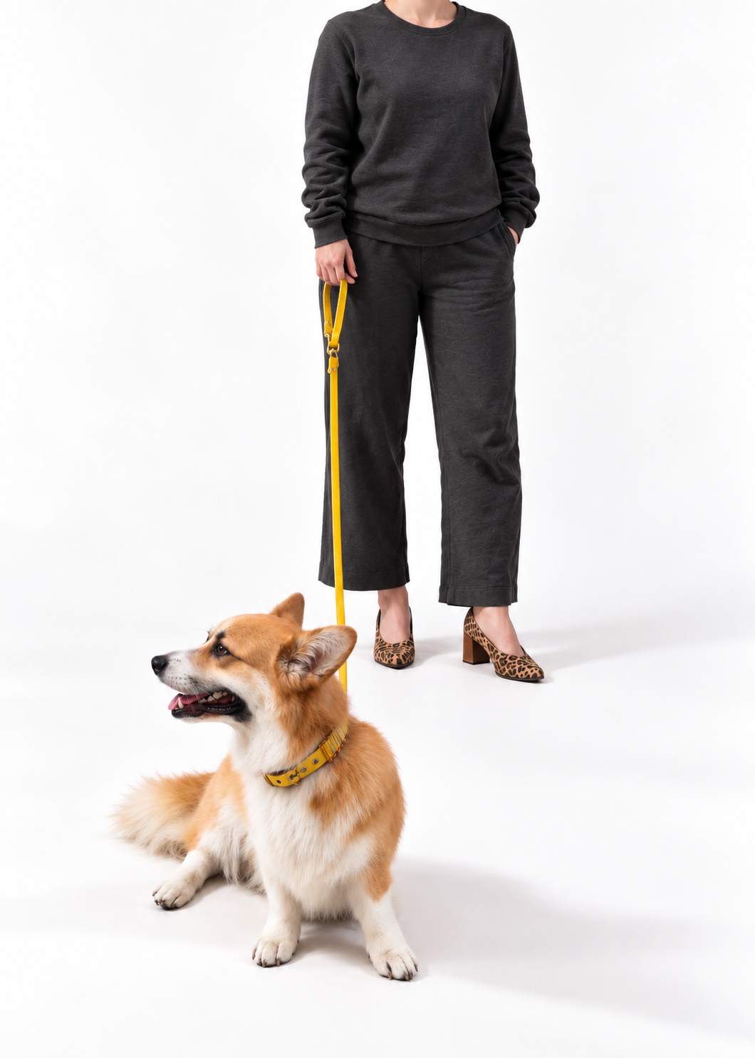 Laisse multi-positions pour chien en Biothane et paracord longue par la marque française PLI Paris.