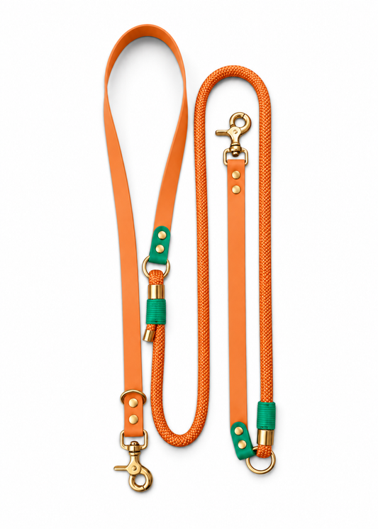 Laisse multi-positions pour chien en Biothane et paracorde marron et vert Tulum par la marque française PLI Paris.
