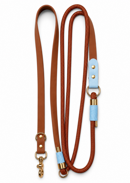 Laisse multi-positions pour chien en Biothane et paracorde marron et bleue Iced Cookiepar la marque française PLI Paris.