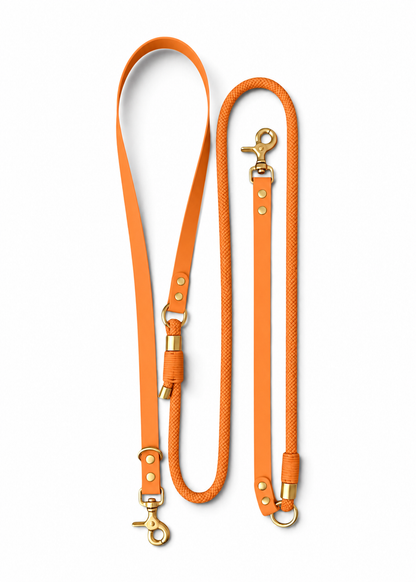 Laisse multi-positions pour chien en Biothane et paracorde marron clair pêche Peach Please 