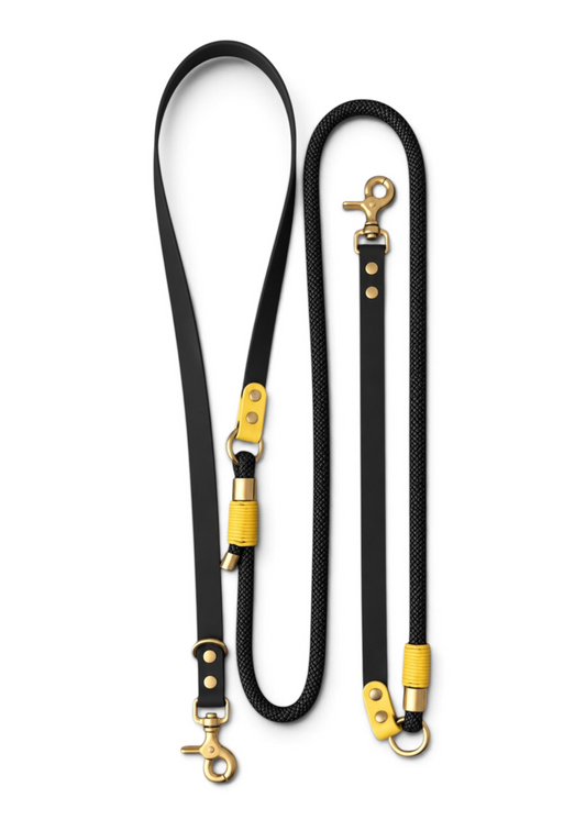 Laisse multi-positions pour chien en Biothane et paracorde noir et jaune Berlin par la marque française PLI Paris.