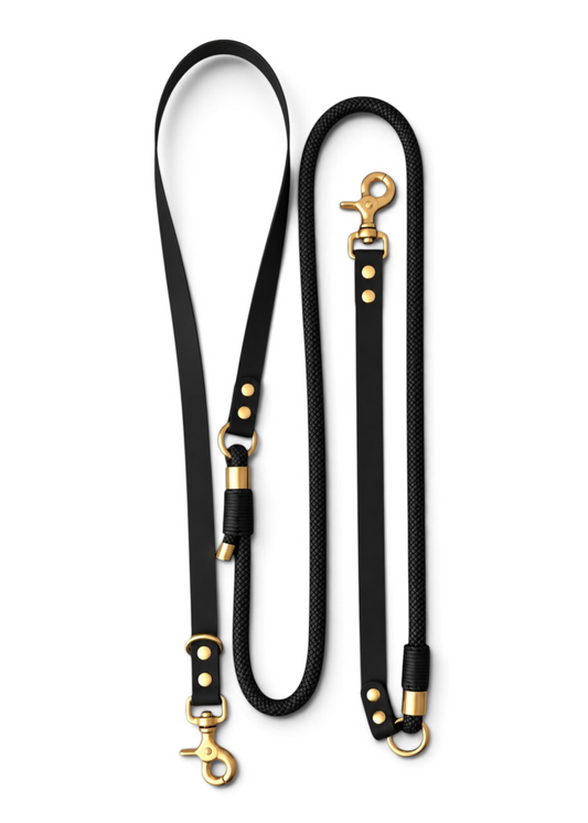 Laisse multi-positions pour chien en Biothane et paracorde noir Black Mamba par la marque française PLI Paris.