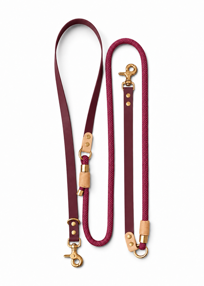 Laisse multi-positions pour chien en Biothane et paracorde bordeaux et creme Cherry On Top par la marque française PLI Paris.